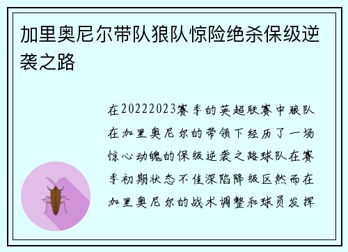 加里奥尼尔带队狼队惊险绝杀保级逆袭之路